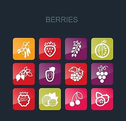 EPS 해외이미지 열매 음식 잎 과일 일러스트 딸기 포도 수박 사람없음 빨간색 검은색 나뭇가지 신선 체리 달콤 다발 블루베리 산딸기 블랙베리 건포도 구스베리 해외202004 해외202105 해외일러스트 나무 식물 컬러 맛 건과일 파일형식 벡터