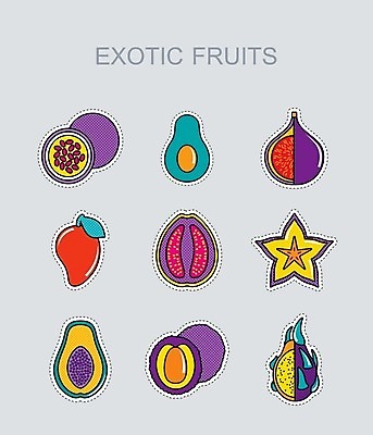 EPS 해외이미지 음식 과일 일러스트 사람없음 용 신선 달콤 열정 망고 아보카도 무화과 숙성 이국적 파파야 해외202004 해외202105 해외일러스트 감정 맛 열대과일 파일형식 벡터