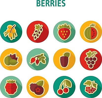 EPS 해외이미지 열매 음식 잎 과일 일러스트 딸기 포도 수박 사람없음 빨간색 검은색 나뭇가지 신선 체리 달콤 다발 블루베리 산딸기 블랙베리 건포도 구스베리 해외202004 해외202105 해외일러스트 나무 식물 컬러 맛 건과일 파일형식 벡터