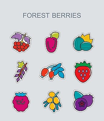 EPS 해외이미지 열매 음식 잎 과일 일러스트 딸기 건강 사람없음 빨간색 파란색 검은색 나뭇가지 신선 달콤 숲 다발 블루베리 산딸기 블랙베리 건포도 구스베리 해외202004 해외202105 해외일러스트 나무 식물 컬러 포도 맛 건과일 파일형식 벡터