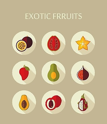 EPS 해외이미지 음식 과일 일러스트 사람없음 용 신선 달콤 열정 망고 아보카도 무화과 숙성 이국적 파파야 해외202004 해외202105 해외일러스트 감정 맛 열대과일 파일형식 벡터