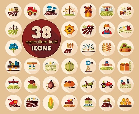 EPS 해외이미지 남자 밭 농업 일러스트 비행기 한명 상반신 성인 물 농장 해충 건초더미 농부 쥐 물주기 트랙터 메뚜기 두더지 물뿌리기 밭일 사일로 스프링쿨러 성인남자한명만 해외202004 해외202105 해외일러스트 자연요소 직업 1 산업 곤충 항공교통 모션 대중교통 사람 벌레 건초 설치류 농기계 특수차량 남자한명만 성인남자만 파일형식 벡터 더미