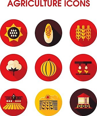 EPS 해외이미지 밭 농업 채소 일러스트 해바라기 수박 비행기 사람없음 물 농작물 태양 농장 성장 컨테이너 뿌리기 물주기 분무기 물뿌리기 목화솜 해외202004 해외202105 해외일러스트 자연요소 꽃 산업 과일 항공교통 모션 대중교통 솜 파일형식 벡터