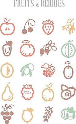 EPS 해외이미지 열매 잎 일러스트 딸기 포도 수박 사람없음 검은색 나뭇가지 체리 사과 멜론 심볼 올리브 블루베리 산딸기 복숭아 석류 자두 블랙베리 건포도 구스베리 살구 해외202004 해외202105 해외일러스트 나무 식물 컬러 과일 건과일 파일형식 벡터