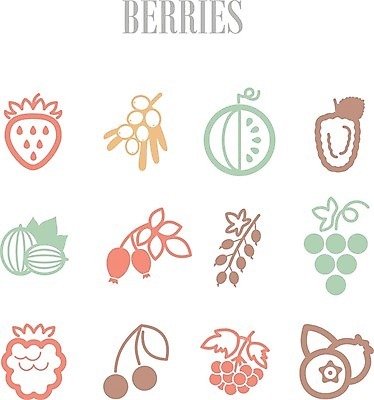 EPS 해외이미지 열매 음식 잎 과일 일러스트 딸기 포도 수박 사람없음 빨간색 검은색 나뭇가지 신선 체리 달콤 다발 블루베리 산딸기 블랙베리 건포도 구스베리 해외202004 해외202105 해외일러스트 나무 식물 컬러 맛 건과일 파일형식 벡터