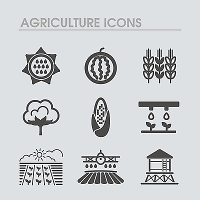 EPS 해외이미지 식물 밭 농업 채소 일러스트 해바라기 수박 비행기 옥수수 사람없음 물 농작물 태양 농장 컨테이너 물주기 목화솜 해외202004 해외202105 해외일러스트 자연요소 꽃 산업 과일 항공교통 모션 대중교통 곡류 솜 파일형식 벡터