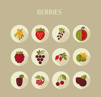 EPS 해외이미지 열매 음식 잎 과일 일러스트 딸기 포도 수박 사람없음 빨간색 검은색 나뭇가지 신선 체리 달콤 다발 블루베리 산딸기 블랙베리 건포도 구스베리 해외202004 해외202105 해외일러스트 나무 식물 컬러 맛 건과일 파일형식 벡터