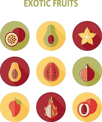 EPS 해외이미지 음식 과일 일러스트 사람없음 용 신선 달콤 열정 망고 아보카도 무화과 숙성 이국적 파파야 해외202004 해외202105 해외일러스트 감정 맛 열대과일 파일형식 벡터