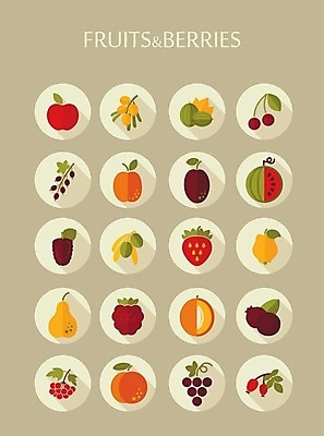 EPS 해외이미지 열매 잎 일러스트 딸기 포도 수박 사람없음 검은색 나뭇가지 체리 사과 멜론 심볼 올리브 블루베리 산딸기 복숭아 석류 자두 블랙베리 건포도 구스베리 살구 해외202004 해외202105 해외일러스트 나무 식물 컬러 과일 건과일 파일형식 벡터