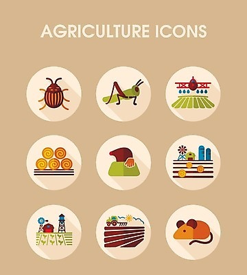 EPS 해외이미지 동물 밭 농업 일러스트 비행기 사람없음 물 농작물 농장 쌓기 건초더미 볏짚 농부 쥐 딱정벌레 물주기 분무기 트랙터 메뚜기 농약 두더지 물뿌리기 밭일 해외202004 해외202105 해외일러스트 자연요소 직업 산업 곤충 항공교통 모션 대중교통 건초 짚 설치류 농기계 특수차량 파일형식 벡터 더미