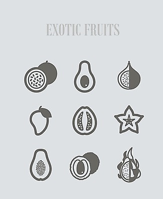 EPS 해외이미지 음식 과일 일러스트 사람없음 용 신선 달콤 열정 망고 아보카도 무화과 숙성 이국적 파파야 해외202004 해외202105 해외일러스트 감정 맛 열대과일 파일형식 벡터