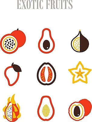 EPS 해외이미지 음식 과일 일러스트 사람없음 용 신선 달콤 열정 망고 아보카도 무화과 숙성 이국적 파파야 해외202004 해외202105 해외일러스트 감정 맛 열대과일 파일형식 벡터