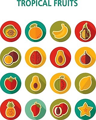 EPS 해외이미지 음식 오렌지 과일 일러스트 귤 수박 바나나 키위 감 사람없음 레몬 심볼 파인애플 사인 열정 라임 망고 아보카도 무화과 이국적 파파야 해외202004 해외202105 해외일러스트 감정 열대과일 파일형식 벡터