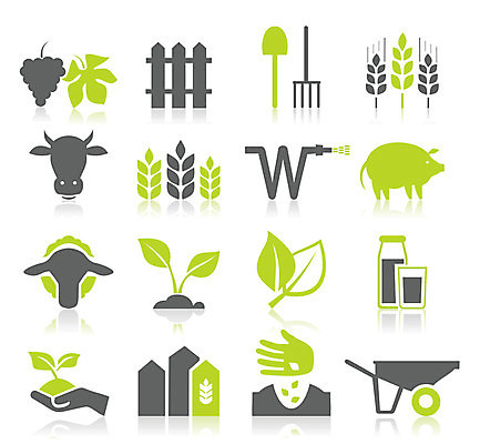 EPS 해외이미지 식물 잎 농업 일러스트 자연 포도 씨앗 들기 사람없음 농작물 울타리 새싹 우유 양 돼지 소 농기구 삽 손모양 호스 씨뿌리기 외발수레 해외202004 해외202105 해외일러스트 모양 산업 과일 포유류 모션 유제품 담장 수레 생태계 파일형식 벡터 손_신체부위