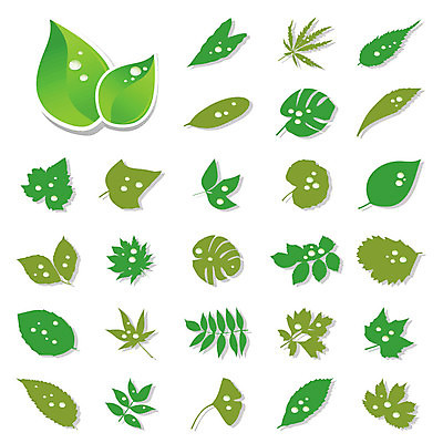 EPS 해외이미지 나무 식물 음료 줄기 잎 꽃무늬 일러스트 부분 자연 미술 사람없음 초록색 물 반사 환경 디지털 스파 페인트 젖음 성장 신선 얼룩 화려 액체 우아함 떨어짐 이슬 엘리먼트 해외202004 해외202105 해외일러스트 자연요소 꽃 컬러 컨셉 무늬 문화예술 생태계 파일형식 벡터