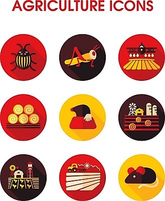 EPS 해외이미지 밭 농업 일러스트 비행기 사람없음 물 농작물 농장 쌓기 해충 건초더미 볏짚 쥐 딱정벌레 물주기 트랙터 메뚜기 농약 두더지 물뿌리기 밭일 사일로 해외202004 해외202105 해외일러스트 자연요소 산업 곤충 항공교통 모션 대중교통 벌레 건초 짚 설치류 농기계 특수차량 파일형식 벡터 더미