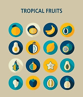EPS 해외이미지 음식 오렌지 과일 일러스트 귤 수박 바나나 키위 감 사람없음 레몬 심볼 파인애플 사인 열정 라임 망고 아보카도 무화과 이국적 파파야 해외202004 해외202105 해외일러스트 감정 열대과일 파일형식 벡터