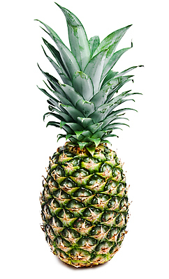 포토 JPG 해외이미지 잎 자연 건강 사람없음 초록색 달콤 파인애플 오브젝트 유기농 비타민 해외202004 해외202105 해외포토 식물 웰빙 컬러 과일 맛 열대과일 생태계 영양소 파일형식