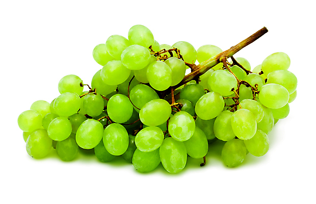 포토 JPG 해외이미지 열매 농업 과일 자연 포도 건강 사람없음 초록색 수확 나뭇가지 달콤 맛 다발 유기농 포도나무 해외202004 해외202105 해외포토 나무 식물 웰빙 산업 컬러 컨셉 과일나무 생태계 파일형식