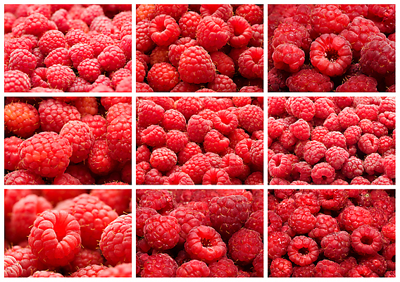 포토 JPG 해외이미지 열매 과일 건강 사람없음 달콤 맛 유기농 산딸기 많음 맛있는 해외202004 해외202105 해외포토 식물 웰빙 컨셉 파일형식