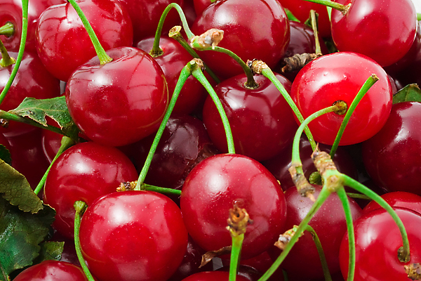 포토 JPG 해외이미지 열매 잎 과일 자연 건강 사람없음 체리 달콤 맛 오브젝트 유기농 비타민 맛있는 해외202004 해외202105 해외포토 식물 웰빙 컨셉 생태계 영양소 파일형식