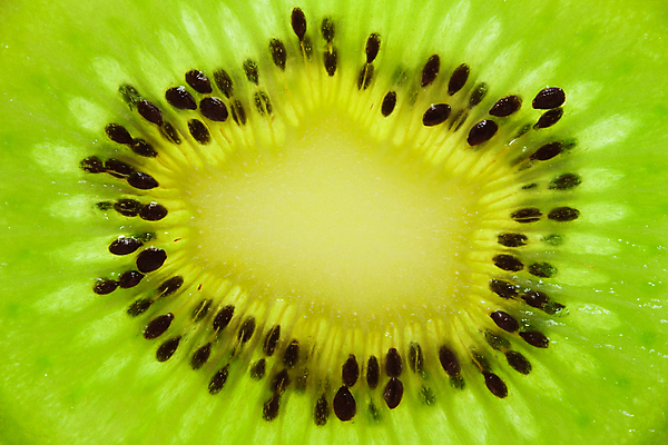 포토 JPG 해외이미지 과일 자연 건강 키위 사람없음 초록색 달콤 오브젝트 유기농 비타민 해외202004 해외202105 해외포토 웰빙 컬러 맛 생태계 영양소 파일형식