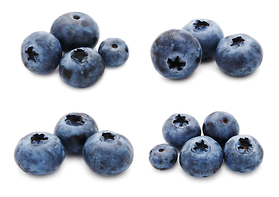 포토 JPG 해외이미지 식물 열매 과일 건강 사람없음 파란색 보라색 검은색 원형 달콤 남색 유기농 블루베리 맛있는 해외202004 해외202105 해외포토 도형 웰빙 컬러 맛 파일형식