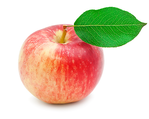 포토 JPG 해외이미지 잎 실내 사람없음 한개 사과 흰배경 해외202004 해외202105 해외포토 식물 1 백그라운드 과일 내부 흰색 파일형식