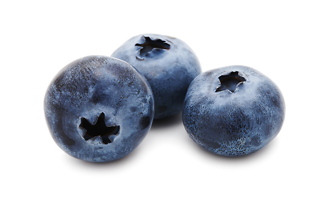 포토 JPG 해외이미지 실내 사람없음 세개 흰배경 블루베리 해외202004 해외202105 해외포토 백그라운드 과일 3 내부 흰색 파일형식