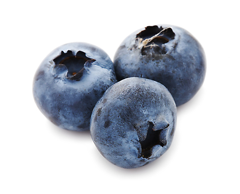 포토 JPG 해외이미지 실내 사람없음 세개 흰배경 블루베리 해외202004 해외202105 해외포토 백그라운드 과일 3 내부 흰색 파일형식