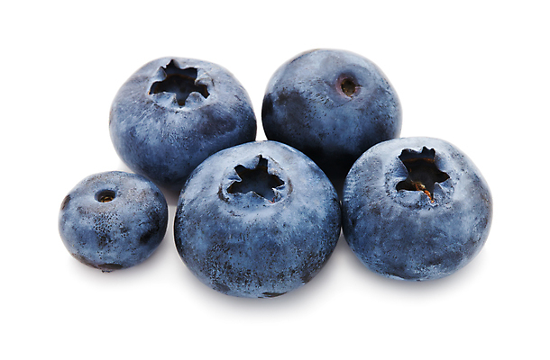 포토 JPG 해외이미지 실내 사람없음 여러개 흰배경 블루베리 해외202004 해외202105 해외포토 다수 백그라운드 과일 내부 흰색 파일형식