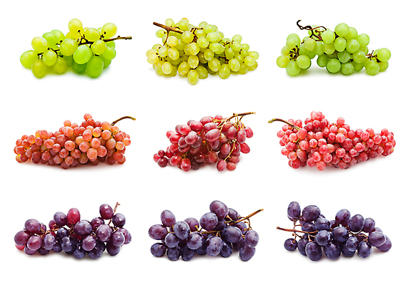 포토 JPG 해외이미지 열매 농업 과일 자연 포도 건강 사람없음 초록색 수확 나뭇가지 달콤 맛 다발 유기농 포도나무 해외202004 해외202105 해외포토 나무 식물 웰빙 산업 컬러 컨셉 과일나무 생태계 파일형식