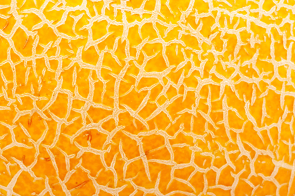 포토 JPG 해외이미지 채소 오렌지 과일 건강 사람없음 노란색 달콤 맛 멜론 유기농 비타민 맛있는 해외202004 해외202105 해외포토 웰빙 컬러 컨셉 영양소 파일형식