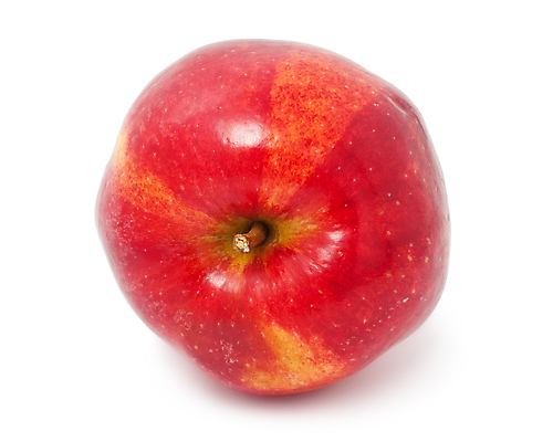 포토 JPG 해외이미지 실내 사람없음 한개 사과 흰배경 해외202004 해외202105 해외포토 1 백그라운드 과일 내부 흰색 파일형식