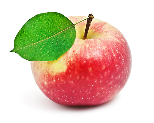 포토 JPG 해외이미지 잎 실내 사람없음 한개 사과 흰배경 해외202004 해외202105 해외포토 식물 1 백그라운드 과일 내부 흰색 파일형식