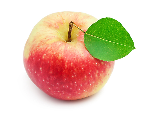 포토 JPG 해외이미지 잎 실내 사람없음 한개 사과 흰배경 해외202004 해외202105 해외포토 식물 1 백그라운드 과일 내부 흰색 파일형식