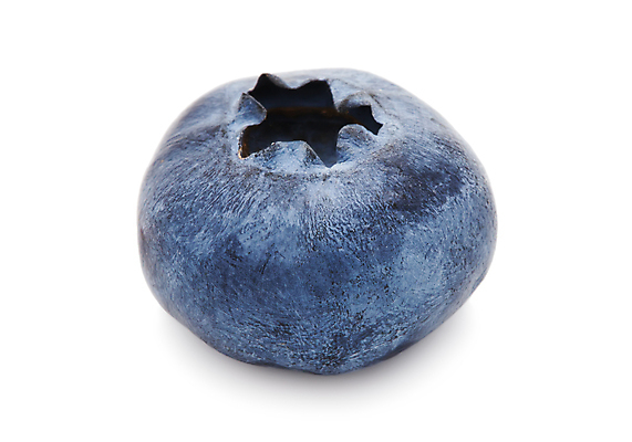 포토 JPG 해외이미지 사람없음 블루베리 해외202004 해외202105 해외포토 과일 파일형식