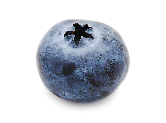 포토 JPG 해외이미지 실내 사람없음 흰배경 블루베리 해외202004 해외202105 해외포토 백그라운드 과일 내부 흰색 파일형식