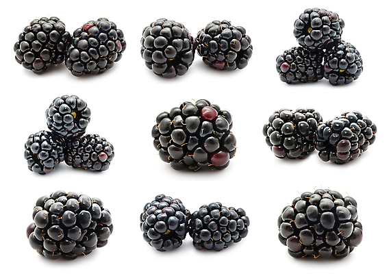 포토 JPG 해외이미지 열매 과일 자연 건강 사람없음 검은색 달콤 맛 오브젝트 유기농 블랙베리 맛있는 해외202004 해외202105 해외포토 식물 웰빙 컬러 컨셉 생태계 파일형식