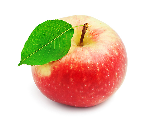 포토 JPG 해외이미지 잎 실내 사람없음 한개 사과 흰배경 해외202004 해외202105 해외포토 식물 1 백그라운드 과일 내부 흰색 파일형식