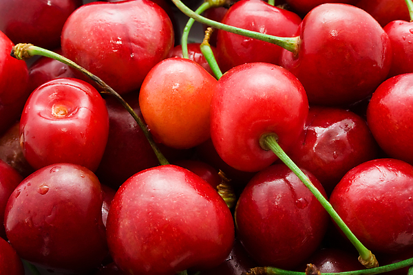 포토 JPG 해외이미지 열매 잎 과일 자연 건강 사람없음 체리 달콤 맛 오브젝트 유기농 비타민 맛있는 해외202004 해외202105 해외포토 식물 웰빙 컨셉 생태계 영양소 파일형식