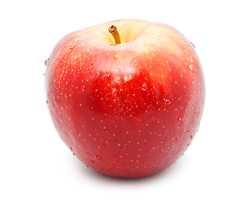 포토 JPG 해외이미지 실내 사람없음 한개 물방울 사과 흰배경 해외202004 해외202105 해외포토 1 백그라운드 과일 내부 흰색 파일형식