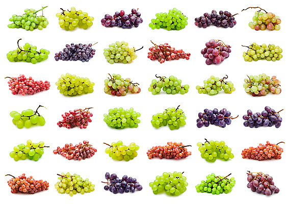 포토 JPG 해외이미지 열매 농업 과일 자연 포도 건강 사람없음 초록색 수확 나뭇가지 달콤 맛 다발 유기농 포도나무 해외202004 해외202105 해외포토 나무 식물 웰빙 산업 컬러 컨셉 과일나무 생태계 파일형식