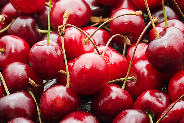 포토 JPG 해외이미지 열매 잎 과일 자연 건강 사람없음 체리 달콤 맛 오브젝트 유기농 맛있는 해외202004 해외202105 해외포토 식물 웰빙 컨셉 생태계 파일형식