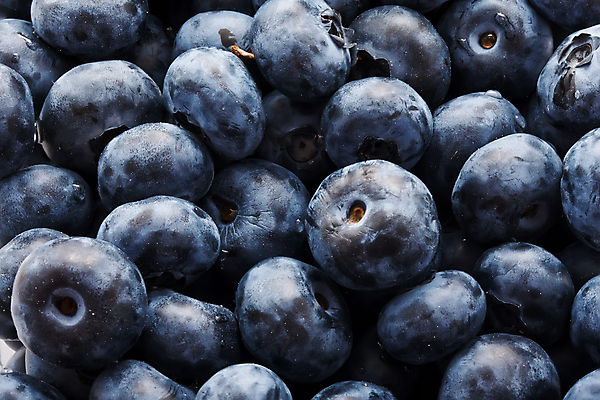 포토 JPG 해외이미지 사람없음 가득함 블루베리 많음 해외202004 해외202105 해외포토 컨셉 과일 파일형식