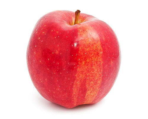 포토 JPG 해외이미지 실내 사람없음 한개 사과 흰배경 해외202004 해외202105 해외포토 1 백그라운드 과일 내부 흰색 파일형식