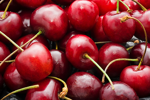 포토 JPG 해외이미지 열매 잎 과일 자연 건강 사람없음 체리 달콤 맛 오브젝트 유기농 맛있는 해외202004 해외202105 해외포토 식물 웰빙 컨셉 생태계 파일형식