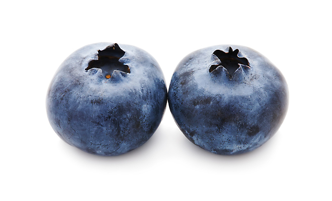 포토 JPG 해외이미지 실내 사람없음 두개 흰배경 블루베리 해외202004 해외202105 해외포토 백그라운드 2 과일 내부 흰색 파일형식