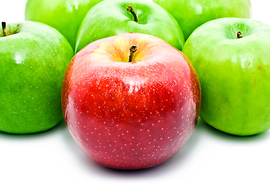 포토 JPG 해외이미지 실내 사람없음 여러개 사과 흰배경 청사과 해외202004 해외202105 해외포토 다수 백그라운드 과일 내부 흰색 파일형식