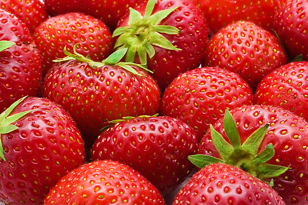 포토 JPG 해외이미지 열매 과일 딸기 건강 사람없음 초록색 달콤 맛 유기농 맛있는 해외202004 해외202105 해외포토 식물 웰빙 컬러 컨셉 파일형식